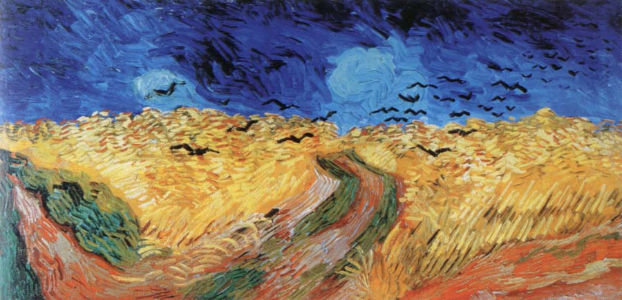 wheat field with crows